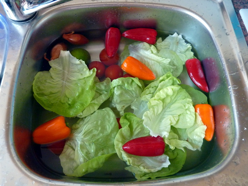 Gemüse in der Wäsche
