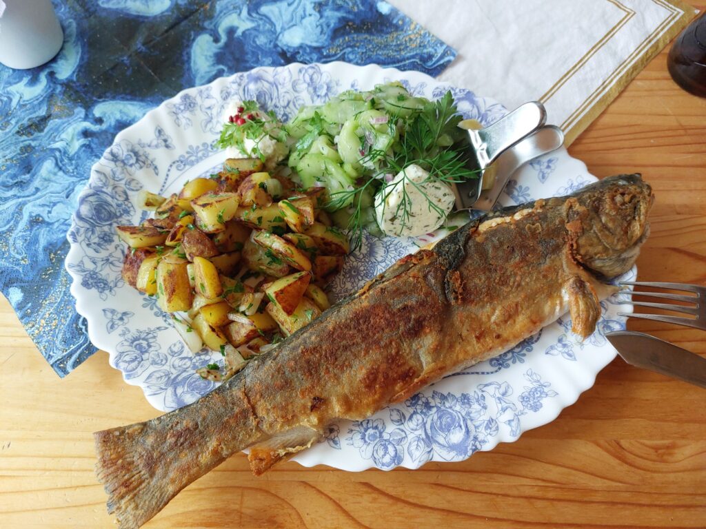 Gebratener Saibling an Bratkartoffeln und Gurkensalat