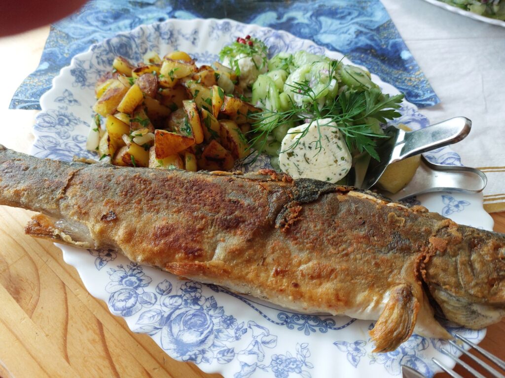 Gebratener Saibling an Bratkartoffeln und Gurkensalat