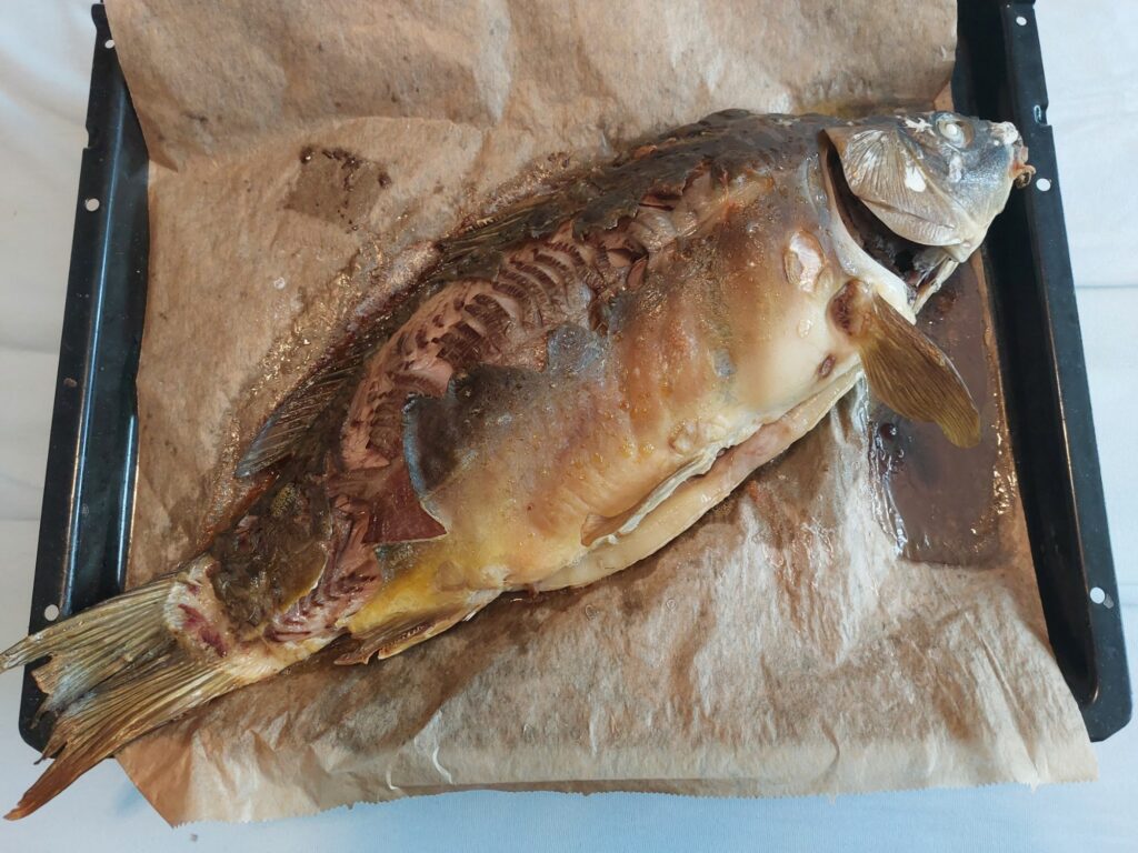 Gebackener Karpfen