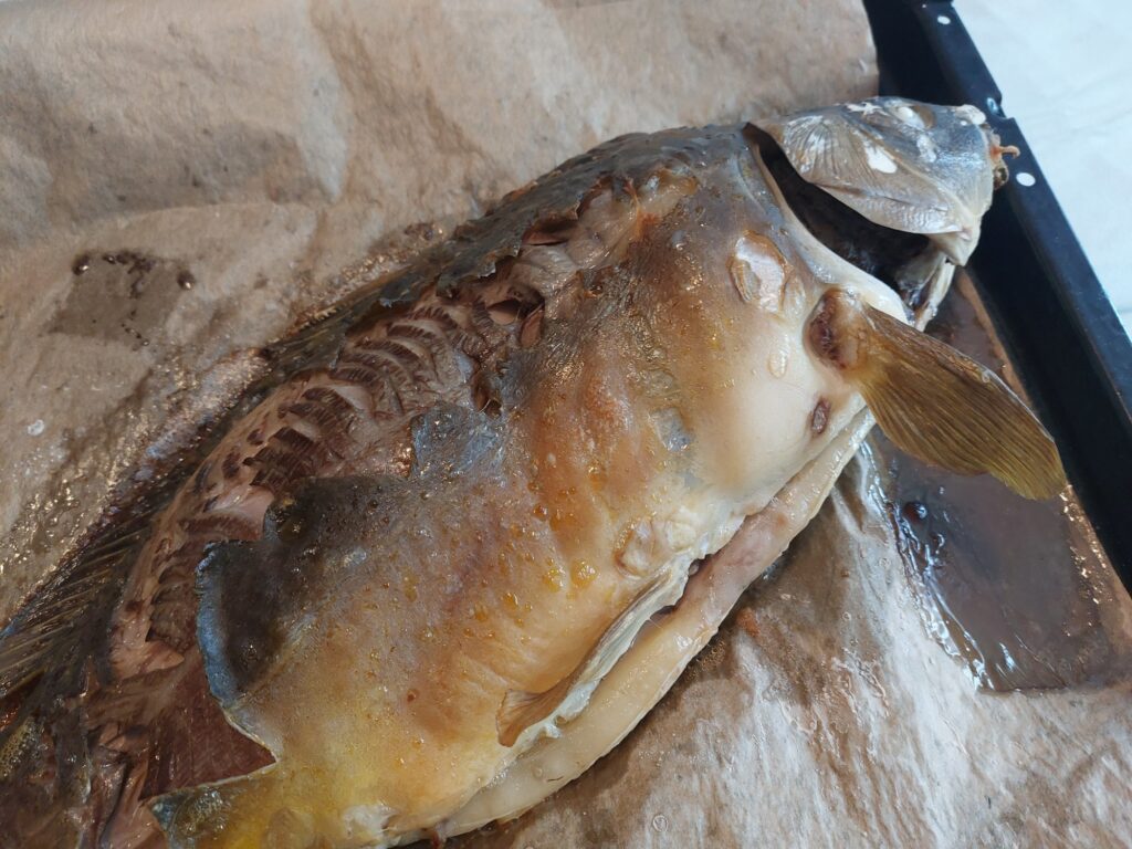 Gebackener Karpfen