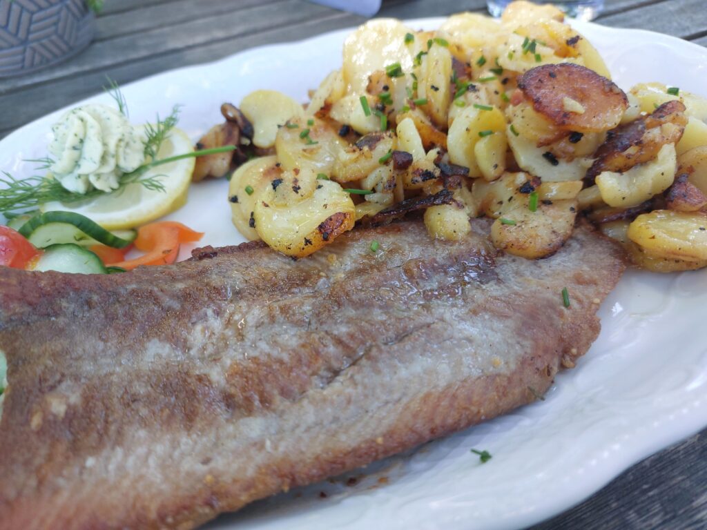 Bratkartoffeln mit Welsfilet
