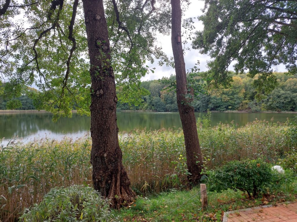 Essensausblick am Kreuzsee